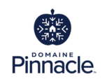 Logo Domaine Pinnacle